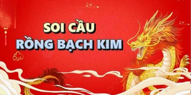 Rồng bạch kim 247