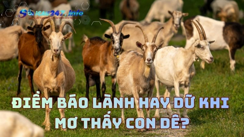 mơ thấy con dê