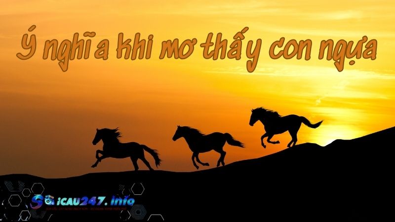mơ thấy con ngựa