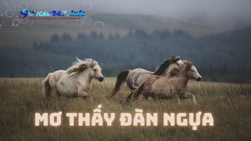 mơ thấy con ngựa