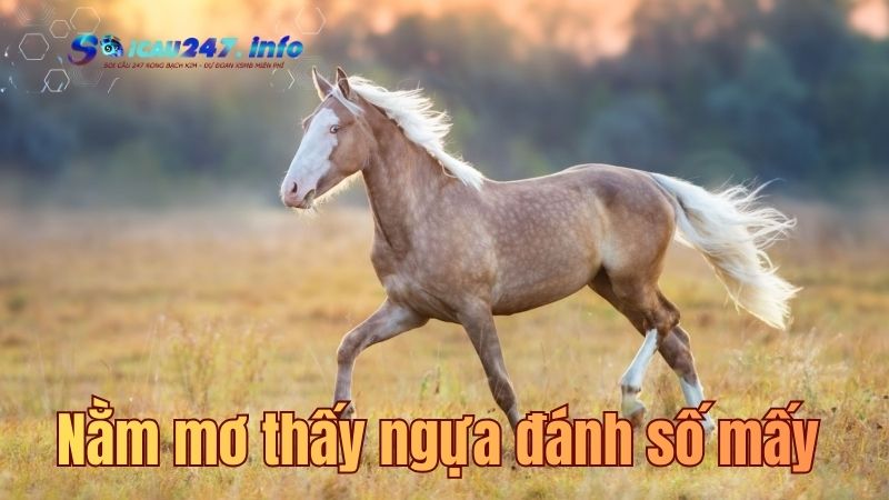 mơ thấy con ngựa