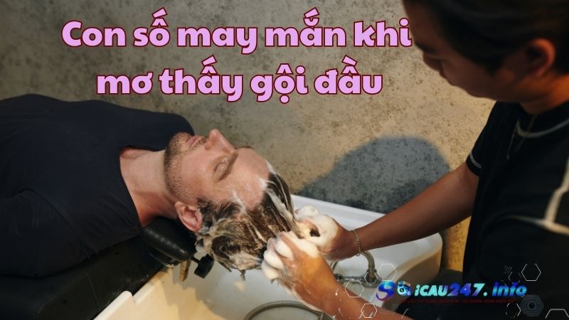 mơ thấy gội đầu