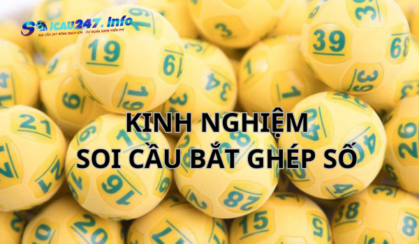 Phương pháp bắt ghép số