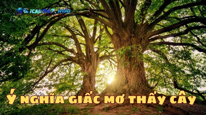 ý nghĩa giấc mơ thấy cây