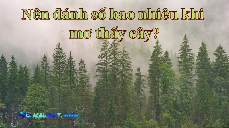 ý nghĩa giấc mơ thấy cây