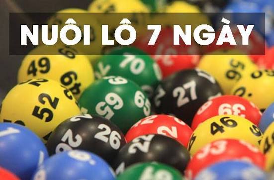Bí quyết nuôi lô khung 7 ngày