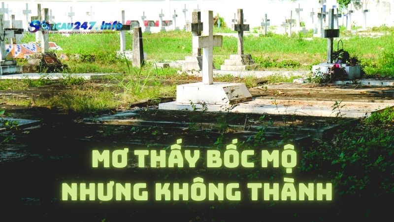 Mơ bốc mộ