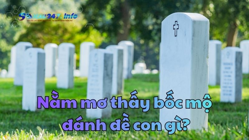 Mơ bốc mộ