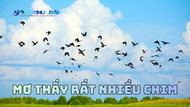 Mơ thấy chim chóc