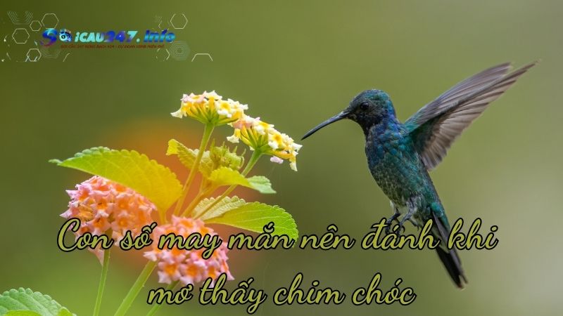 Mơ thấy chim chóc