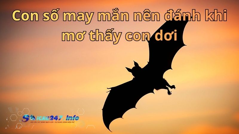 Mơ thấy con dơi