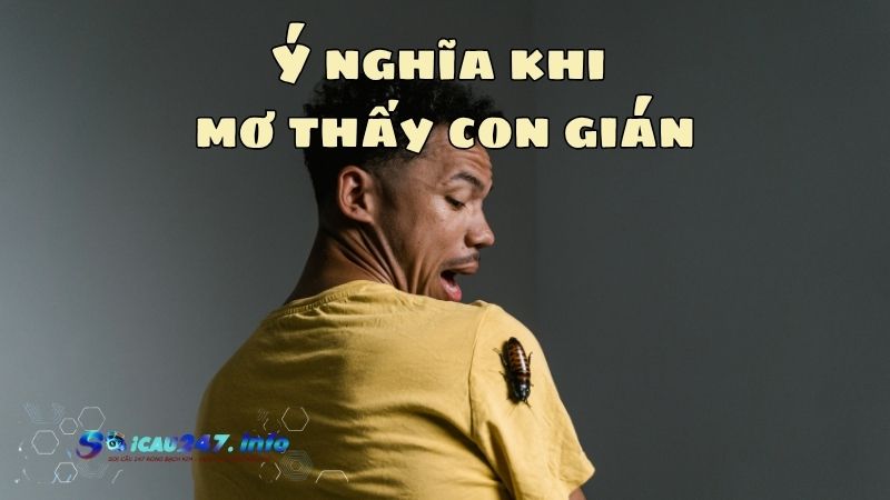 Mơ thấy con gián