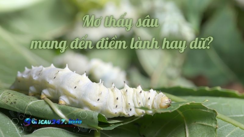 Mơ thấy sâu