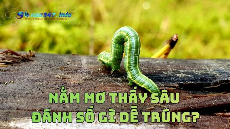 Mơ thấy sâu