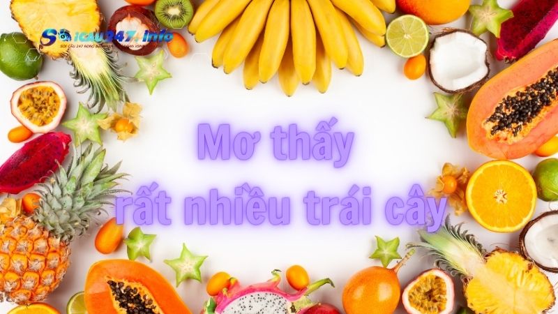 Mơ thấy trái cây