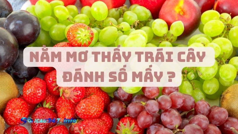 Mơ thấy trái cây